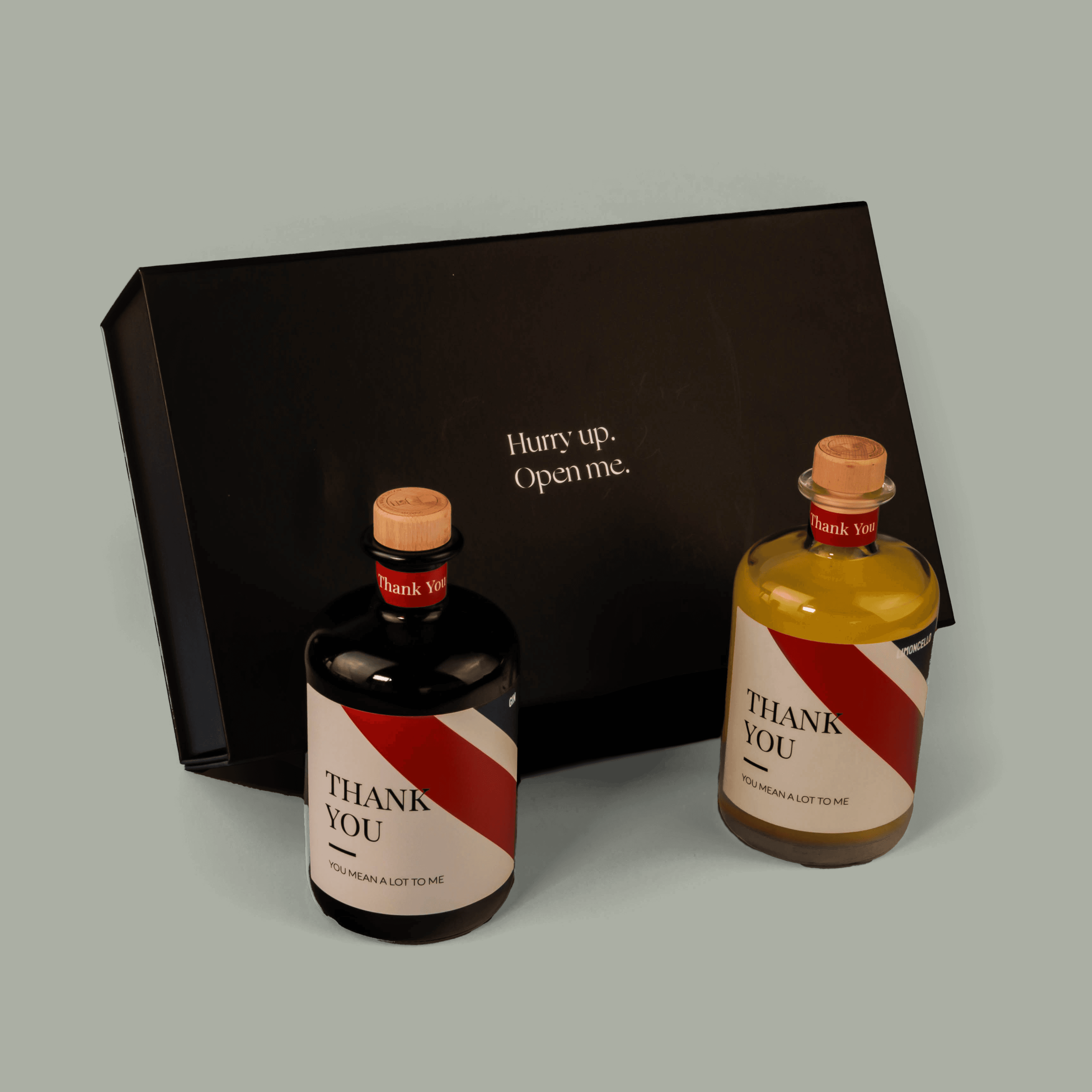 2xSpirit Box B2C 33.7