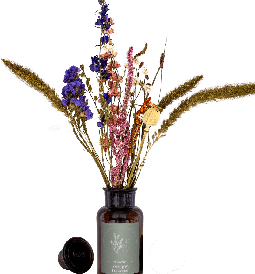 FANsV8uCpHJmW63rHbmGAWvjGBoMRGGmUybYONk8