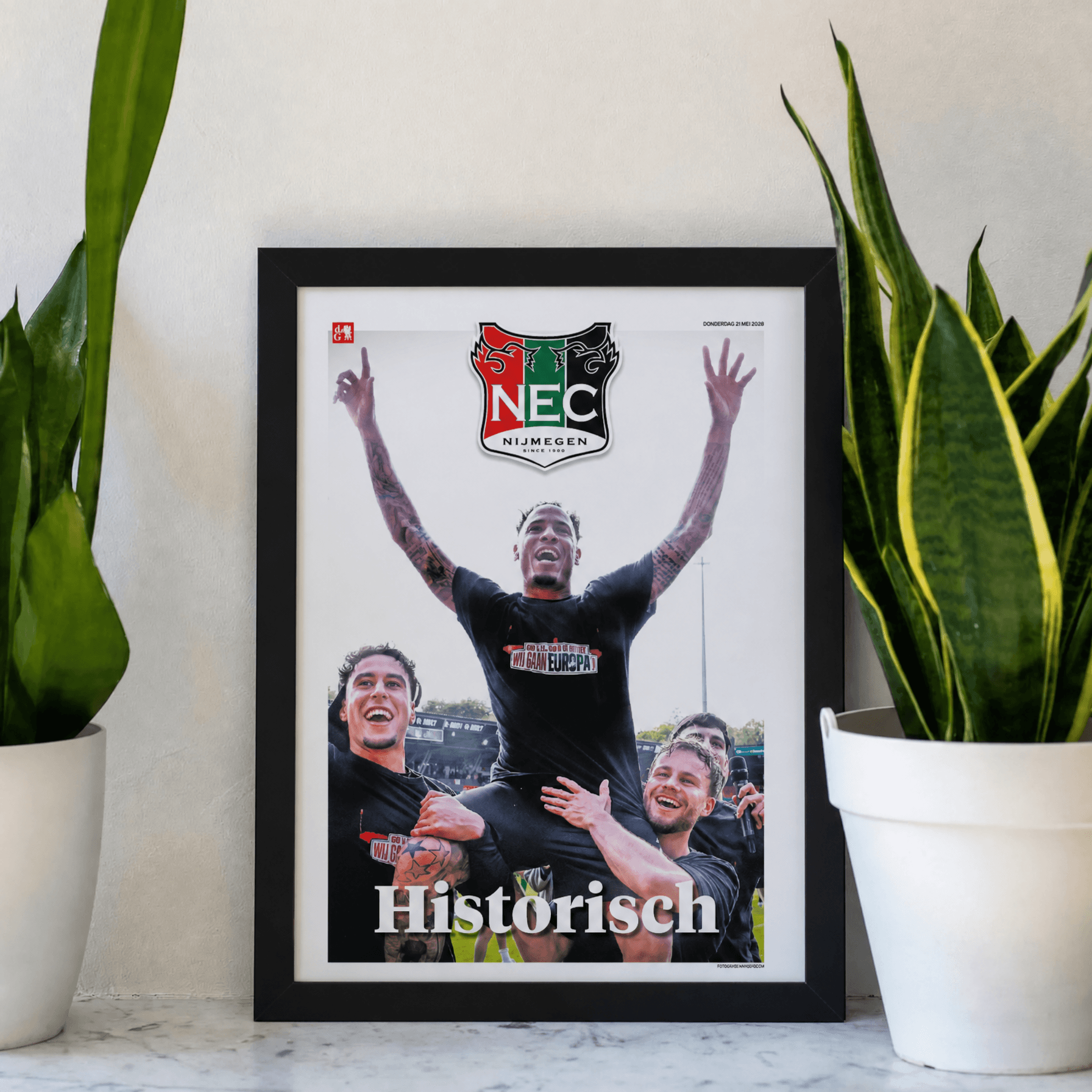 Nec Frame