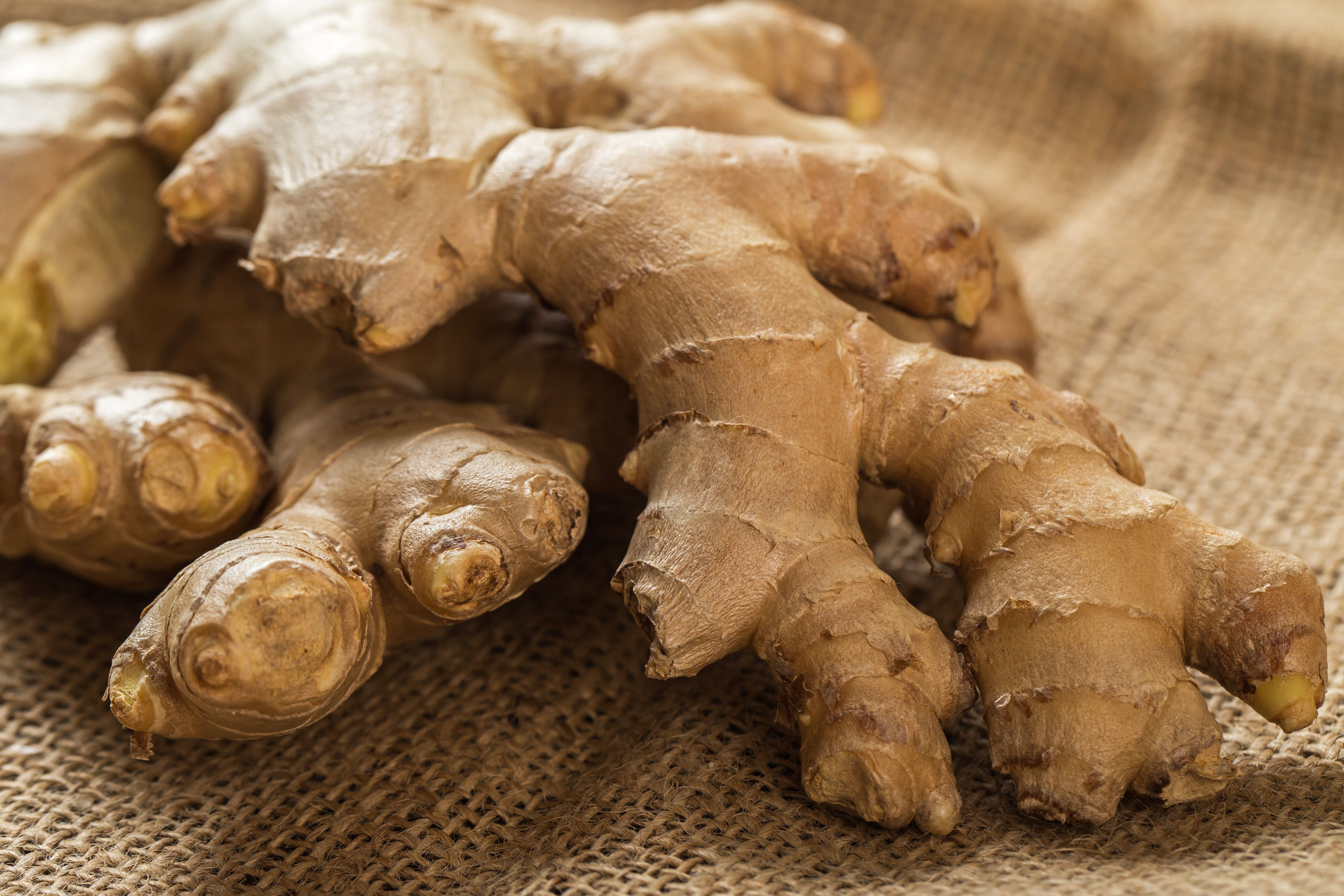 ginger blanket