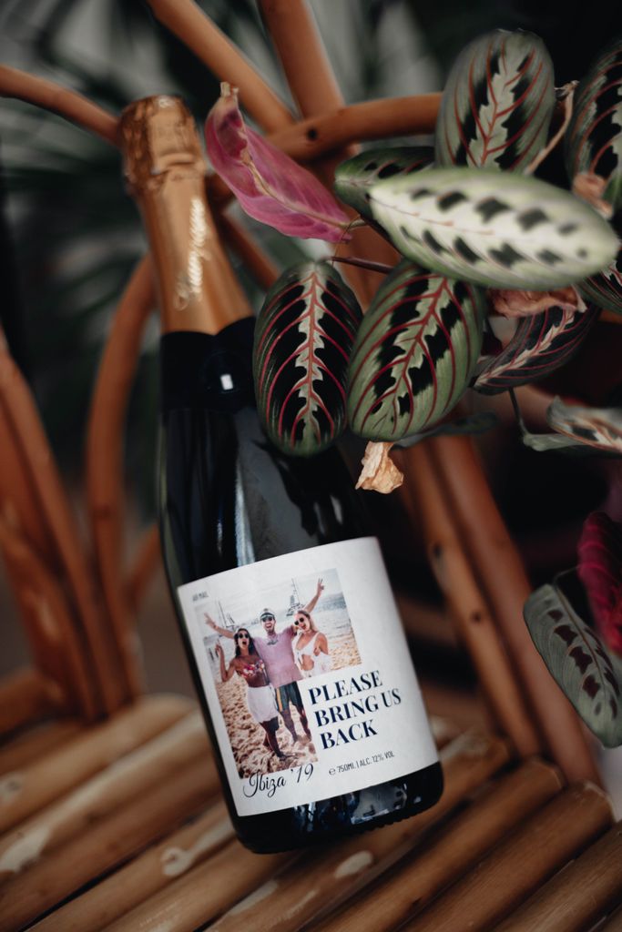 bring us back collage cava