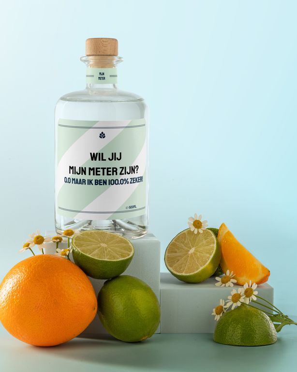 Gepersonaliseerde NA Gin als Wil Je Mijn Meter Zijn Cadeau